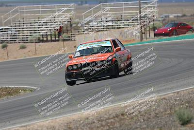 media/May-03-2025-Lucky Dog Racing (Sat) [[206de64b9d]]/Turn 4 B (1150am-130pm)/